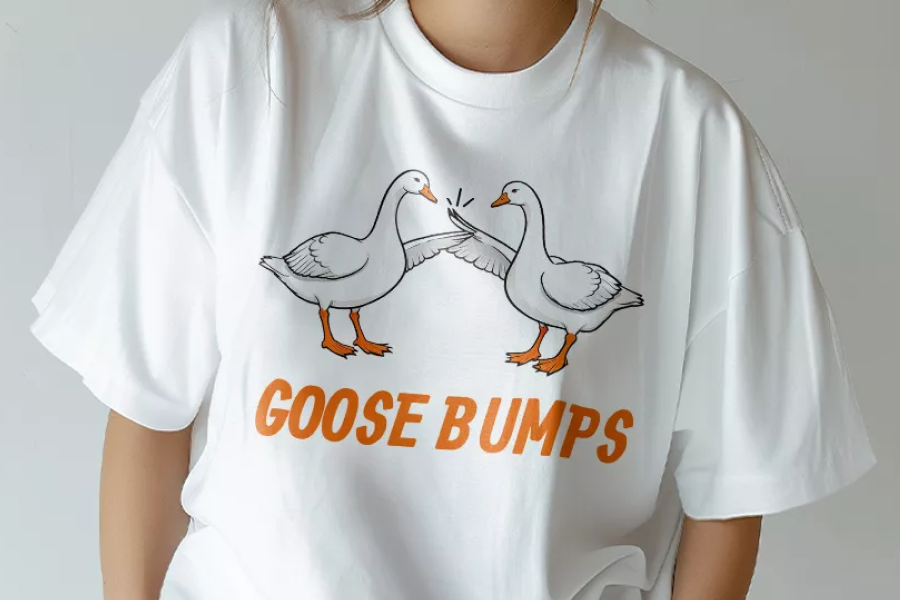Funny Goose Cotton Tee